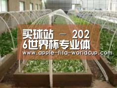 环境展示五