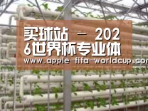 环境展示六