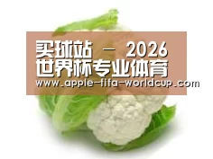 产品名称九