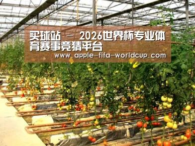 种植基地二(图1)